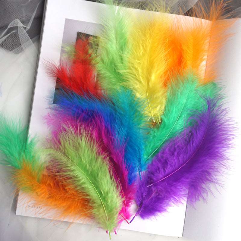 6 Bag Loose Feathers for Crafting Multicolored