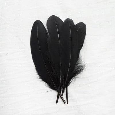 Goose feather for DIY art and craft 4-6inch 100pcs which-craft